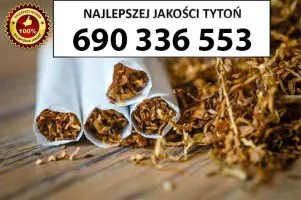 Bardzo Dobrej Jakości TYTOŃ 80 PLN/1KG