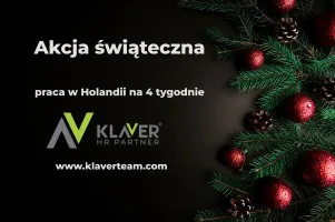 Zarób przed świętami - krótki wyjazd do Holandii!