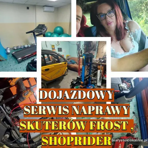 Dojazdowy Serwis Naprawy Skuterów Shoprider, Frost i inne