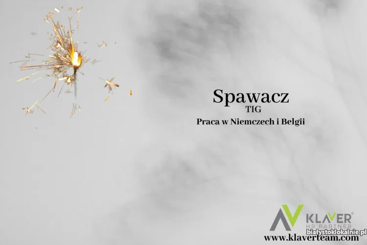 Spawacz TIG / Specjalista ds. Montażu - Belgia