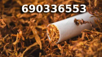 Bardzo Dobrej Jakości TYTOŃ 85 PLN/1KG Bardzo Dobrej Jakości TYTOŃ 85 PLN/1KG