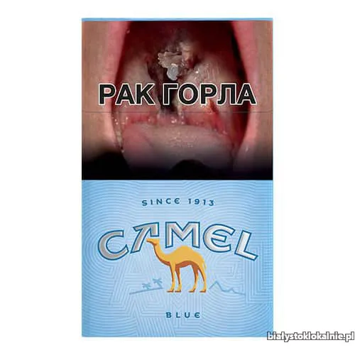 papierosy-camel-sklep-z-papierosami-papierosekcom-42593-sprzedam.webp
