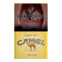 Papierosy Camel - Sklep z papierosami - Papierosek.com Papierosy Camel - Sklep z papierosami - Papierosek.com