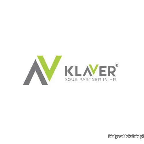 Tapicer - Praca przy wyposażeniu wnętrz samolotów - Niemcy