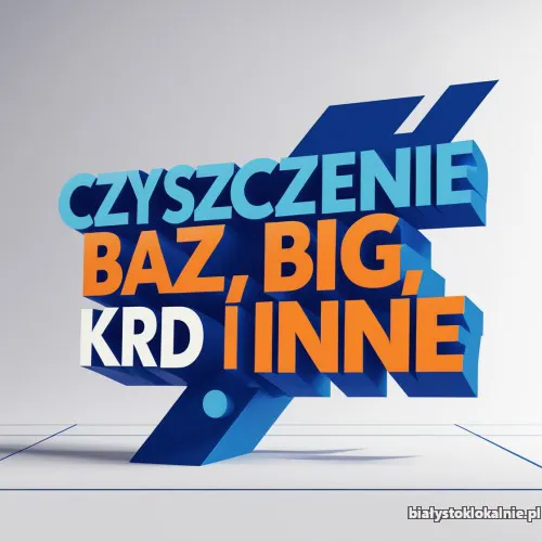 czyszczenie-baz-bik-erif-krd-i-innych-42868.webp